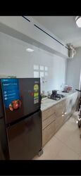 Blk 419C Waterfront II @ Northshore (Punggol), HDB 2 Rooms #587888931